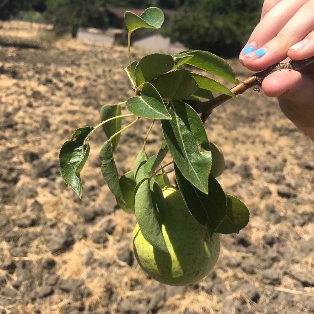 Meet your Posher, Christine